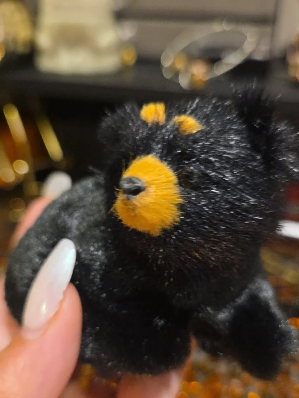 Source Unknown Black Plush Small Pet Toy with Tan Accents